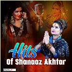 Hits Of Shanaaz Akhtar - Yusuf Hussain Song Download
